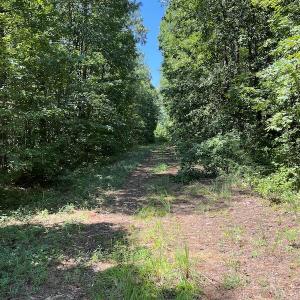 Photo #12 of Off Bell Road, Ivor, VA 2.3 acres