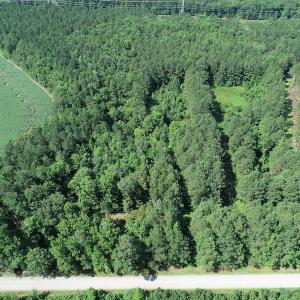 Photo #14 of Off Bell Road, Ivor, VA 2.3 acres