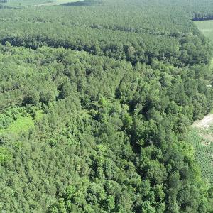 Photo #16 of Off Bell Road, Ivor, VA 2.3 acres