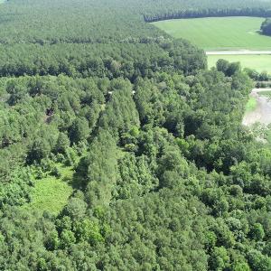 Photo #17 of Off Bell Road, Ivor, VA 2.3 acres