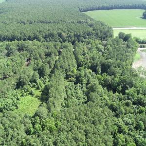 Photo #18 of Off Bell Road, Ivor, VA 2.3 acres