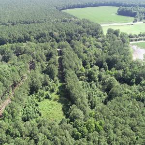 Photo #19 of Off Bell Road, Ivor, VA 2.3 acres
