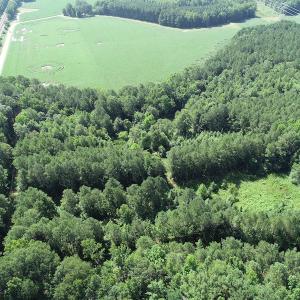 Photo #21 of Off Bell Road, Ivor, VA 2.3 acres