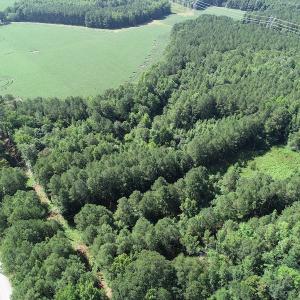 Photo #22 of Off Bell Road, Ivor, VA 2.3 acres