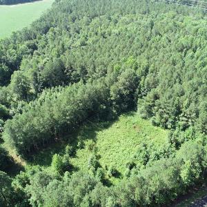 Photo #23 of Off Bell Road, Ivor, VA 2.3 acres