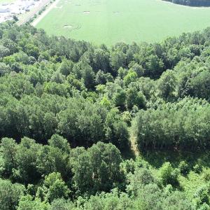 Photo #24 of Off Bell Road, Ivor, VA 2.3 acres