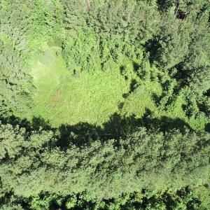 Photo #26 of Off Bell Road, Ivor, VA 2.3 acres