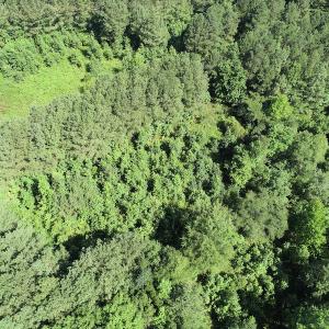 Photo #27 of Off Bell Road, Ivor, VA 2.3 acres