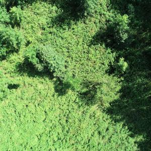 Photo #28 of Off Bell Road, Ivor, VA 2.3 acres