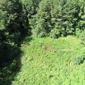 Photo #30 of Off Bell Road, Ivor, VA 2.3 acres