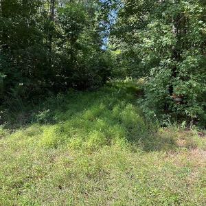 Photo #4 of Off Bell Road, Ivor, VA 2.3 acres