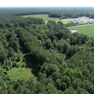 Photo #31 of Off Bell Road, Ivor, VA 2.3 acres