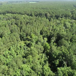 Photo #32 of Off Bell Road, Ivor, VA 2.3 acres