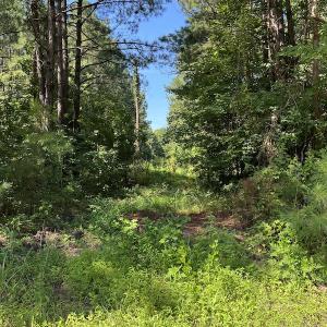 Photo #6 of Off Bell Road, Ivor, VA 2.3 acres