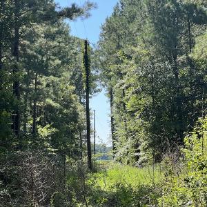 Photo #7 of Off Bell Road, Ivor, VA 2.3 acres