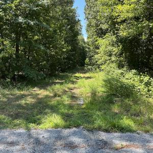 Photo #8 of Off Bell Road, Ivor, VA 2.3 acres