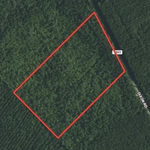 Photo #1 of SOLD property in Off Dixon Road, Bethel, NC 33.0 acres