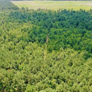 Photo #29 of SOLD property in Off Dixon Road, Bethel, NC 33.0 acres