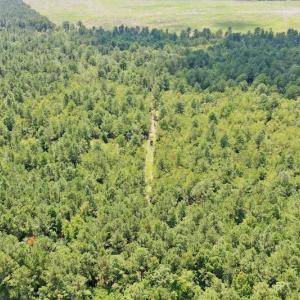 Photo #32 of SOLD property in Off Dixon Road, Bethel, NC 33.0 acres