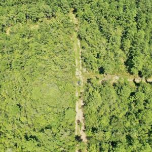 Photo #33 of SOLD property in Off Dixon Road, Bethel, NC 33.0 acres