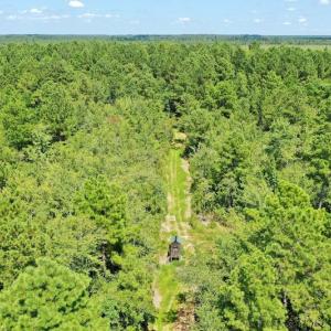 Photo #34 of SOLD property in Off Dixon Road, Bethel, NC 33.0 acres