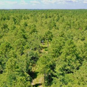 Photo #35 of SOLD property in Off Dixon Road, Bethel, NC 33.0 acres