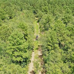 Photo #36 of SOLD property in Off Dixon Road, Bethel, NC 33.0 acres