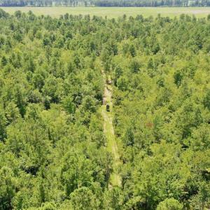 Photo #38 of SOLD property in Off Dixon Road, Bethel, NC 33.0 acres