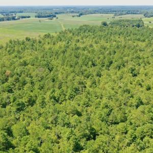 Photo #40 of SOLD property in Off Dixon Road, Bethel, NC 33.0 acres