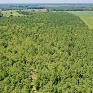 Photo #41 of SOLD property in Off Dixon Road, Bethel, NC 33.0 acres