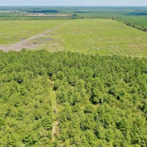 Photo #42 of SOLD property in Off Dixon Road, Bethel, NC 33.0 acres