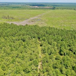 Photo #43 of SOLD property in Off Dixon Road, Bethel, NC 33.0 acres