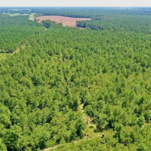 Photo #45 of SOLD property in Off Dixon Road, Bethel, NC 33.0 acres