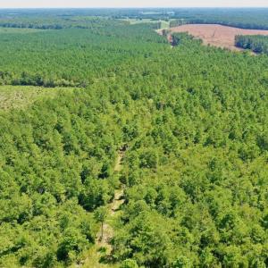 Photo #46 of SOLD property in Off Dixon Road, Bethel, NC 33.0 acres