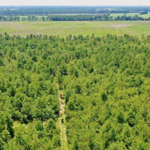 Photo #47 of SOLD property in Off Dixon Road, Bethel, NC 33.0 acres
