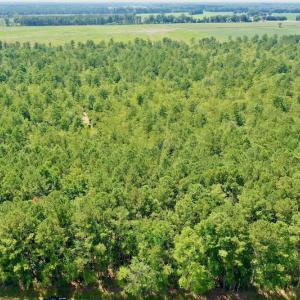 Photo #48 of SOLD property in Off Dixon Road, Bethel, NC 33.0 acres