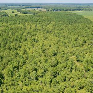 Photo #49 of SOLD property in Off Dixon Road, Bethel, NC 33.0 acres
