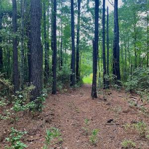 Photo #3 of SOLD property in Off Dixon Road, Bethel, NC 33.0 acres