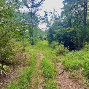 Photo #4 of SOLD property in Off Dixon Road, Bethel, NC 33.0 acres