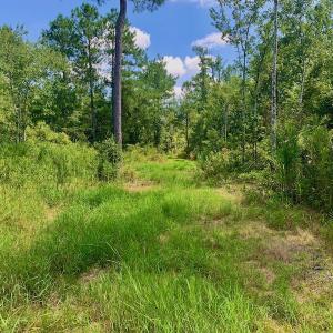 Photo #7 of SOLD property in Off Dixon Road, Bethel, NC 33.0 acres