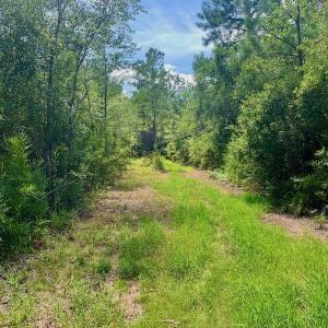 Photo #9 of SOLD property in Off Dixon Road, Bethel, NC 33.0 acres