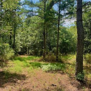 Photo #10 of SOLD property in Off Dixon Road, Bethel, NC 33.0 acres