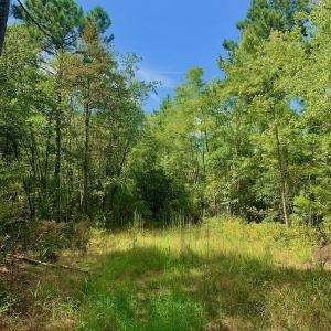 Photo #11 of SOLD property in Off Dixon Road, Bethel, NC 33.0 acres