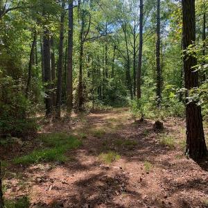 Photo #13 of SOLD property in Off Dixon Road, Bethel, NC 33.0 acres