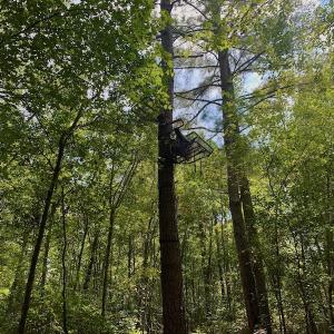 Photo #15 of SOLD property in Off Dixon Road, Bethel, NC 33.0 acres