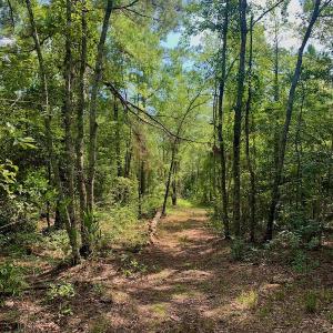 Photo #18 of SOLD property in Off Dixon Road, Bethel, NC 33.0 acres