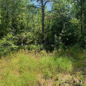 Photo #19 of SOLD property in Off Dixon Road, Bethel, NC 33.0 acres