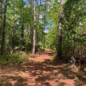 Photo #21 of SOLD property in Off Dixon Road, Bethel, NC 33.0 acres