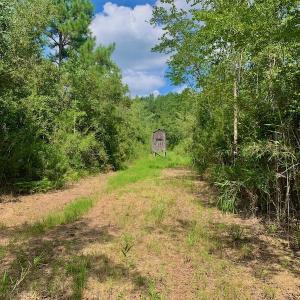 Photo #22 of SOLD property in Off Dixon Road, Bethel, NC 33.0 acres