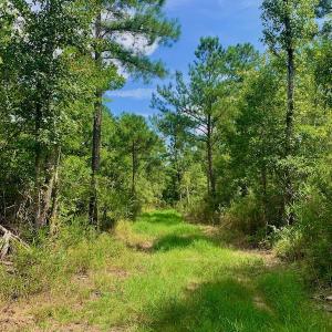 Photo #23 of SOLD property in Off Dixon Road, Bethel, NC 33.0 acres